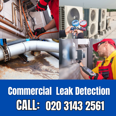 Commercial Leak Detection Services in Plaistow | Plaistow Leak Detection