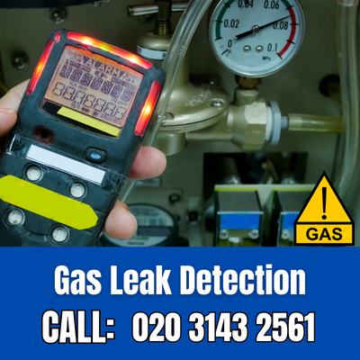 Expert Gas Leak Detection Services in Plaistow | Plaistow Leak Detection