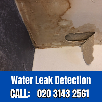 Expert Water Leak Detection Services in Plaistow | Plaistow Leak Detection